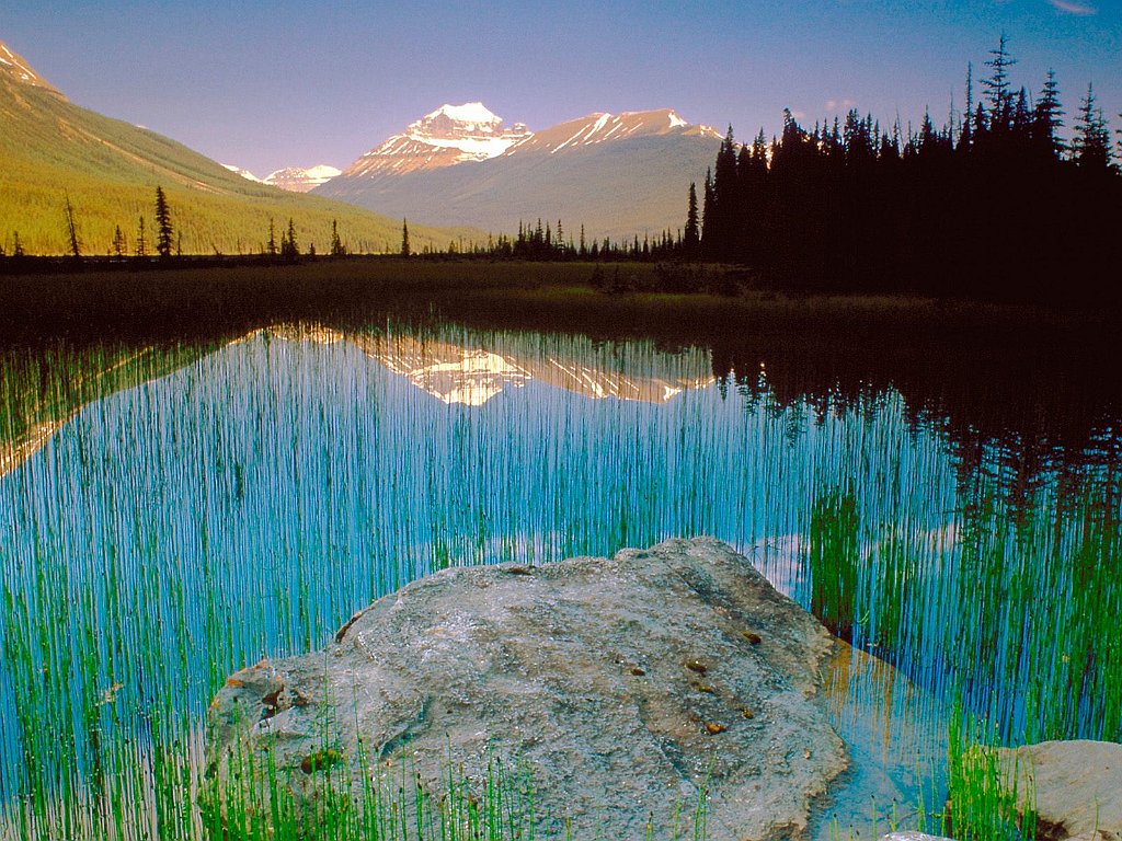 Mount Athabasca, Jasper National Park, Canada